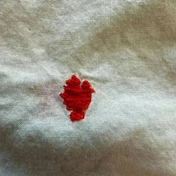 Thanksgiving Turkey Fall Ann Taylor Loft blouse size L oversized and fun wearing - Picture 5 of 10